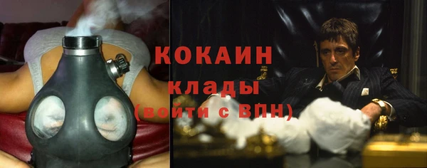 дживик Абинск
