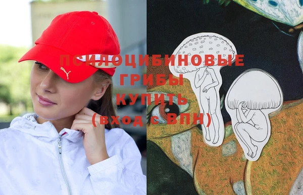 дживик Абинск
